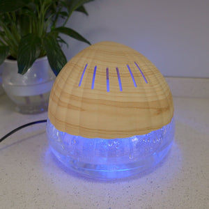 What essential oils can be put into the aromatherapy machine in spring?