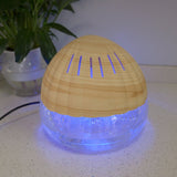 What essential oils can be put into the aromatherapy machine in spring?