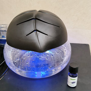 Which essential oils should be put into the aromatherapy machine in spring?
