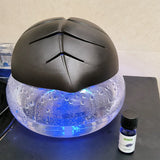 Which essential oils should be put into the aromatherapy machine in spring?