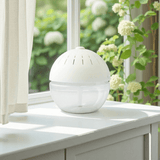 What kind of aromatherapy is suitable for the office?